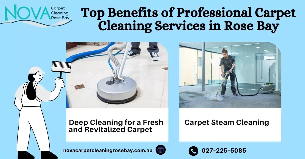 Carpet Cleaning Services in Rose Bay